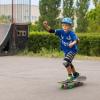 imageMinecraft 31 inch Skateboard 9ply Maple Deck Skate Board for Cruising Carving Tricks and DownhillSurvive