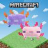 imageMinecraft for Pets 9quot Alex Figure Plush Squeak Toy for Dogs  Officially Licensed Mojang Studios Pet Products  Alex Miner Plush Dog Toy with Squeaky Gifts for Kids Who Love Video GamesLeucistic Axolotl Plush  Steve