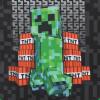 imageBioworld Minecraft Creeper TNT Black 18quot Pilot CaseMinecraft Creeper Tnt Black