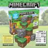 imageSix Officially Licensed Minecraft Kid Sized Giant Inflatable Building Blocks Bunkrs 22quotx22quotx22quot
