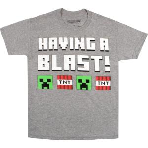 imageMinecraft Birthday Boy Short Sleeve TShirt  Creeper Having a Blast Boys Short Sleeve Tee for Birthday PartiesGrey