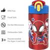 imageZak Designs  MICIV151 27oz Minecraft 188 Stainless Steel Water Bottle with Flipup Straw Spout and Locking Spout Cover Durable Cup for Sports or Travel 27oz Minecraft CreeperSpidey and His Amazing Friends