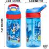 imageZak Designs Minecraft Kids Water Bottle with Straw and Built in Carrying Loop Set Made of Plastic LeakProof Water Bottle Designs CreeperPig 16 oz 2pc SetSonic the Hedgehog