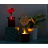imageMinecraft Daisy and Poppy Flower Pot Mood Lights Set of 2  Nightstand Table Lamp with LED Light for Bedroom Desk Living Room  Home Decor Room Essentials  Video Game Gifts And Collectibles