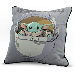 imageJay Franco Minecraft Decorative Pillow Cover CreeperGray  Mandalorian