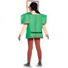 imageAlex Classic Minecraft Costume Multicolor Medium 78Multicolor