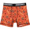 imageBioworld Youth Boys Minecraft Boxer Brief Underwear 5Pack  Pixelated Comfort for Gamers