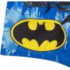 imageDreamwave Captain America Darth Vader Zombie Hedgehog Swim Trunks Toddler to Big KidBatman S20