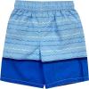imageDreamwave Captain America Darth Vader Zombie Hedgehog Swim Trunks Toddler to Big KidJaws S20