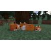 imageMinecraft Starter Collection  PlayStation 4