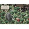 imageMinecraft Maps An Explorers Guide to Minecraft