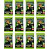 imagePanini Minecraft Mega Box  Official Trading Cards 72 Cards per Box Exclusive Foil Parallels Rare Inserts Great Gift for Kids ampamp Gamers