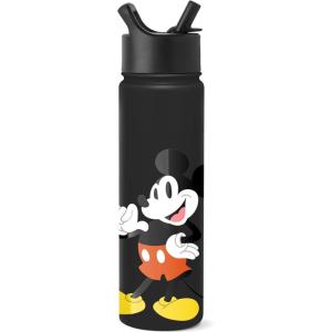 imageSimple Modern Summit Water Bottle with Straw Lid  Minecraft 30oz Leak Proof Stainless Steel Insulated Cup  Gifts for Men  Minecraft CreeperDisney Its Me  Mickey