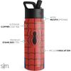 imageSimple Modern Summit Water Bottle with Straw Lid  Minecraft 18oz Stainless Steel Cup Insulated Tumbler for Girls Boys School  Minecraft MashupMarvelSpider Armor