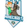 imageMinecraft Steve Embossed Metal Sign  Iconic Steve Diamond Sword Wall Decor for Bedroom or Game RoomGray